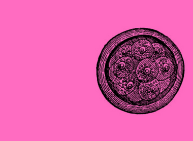 cell pink.png