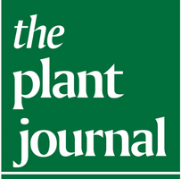 the-plant-journal logo.png