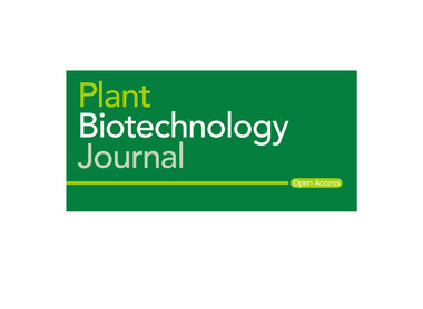 Plant biotech cover.jpg