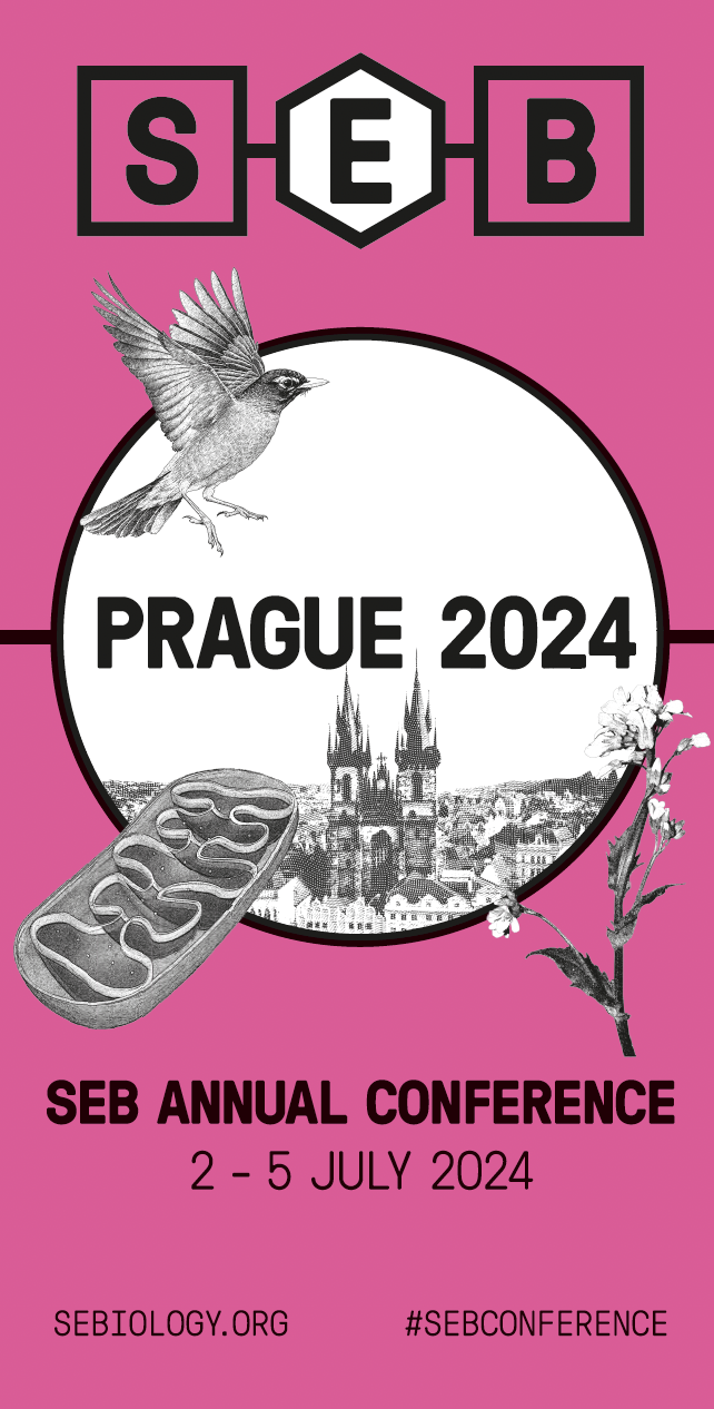 Prague hall banner - 2024