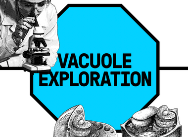 Summer magazine 2024 - Exploring vacuoles.png